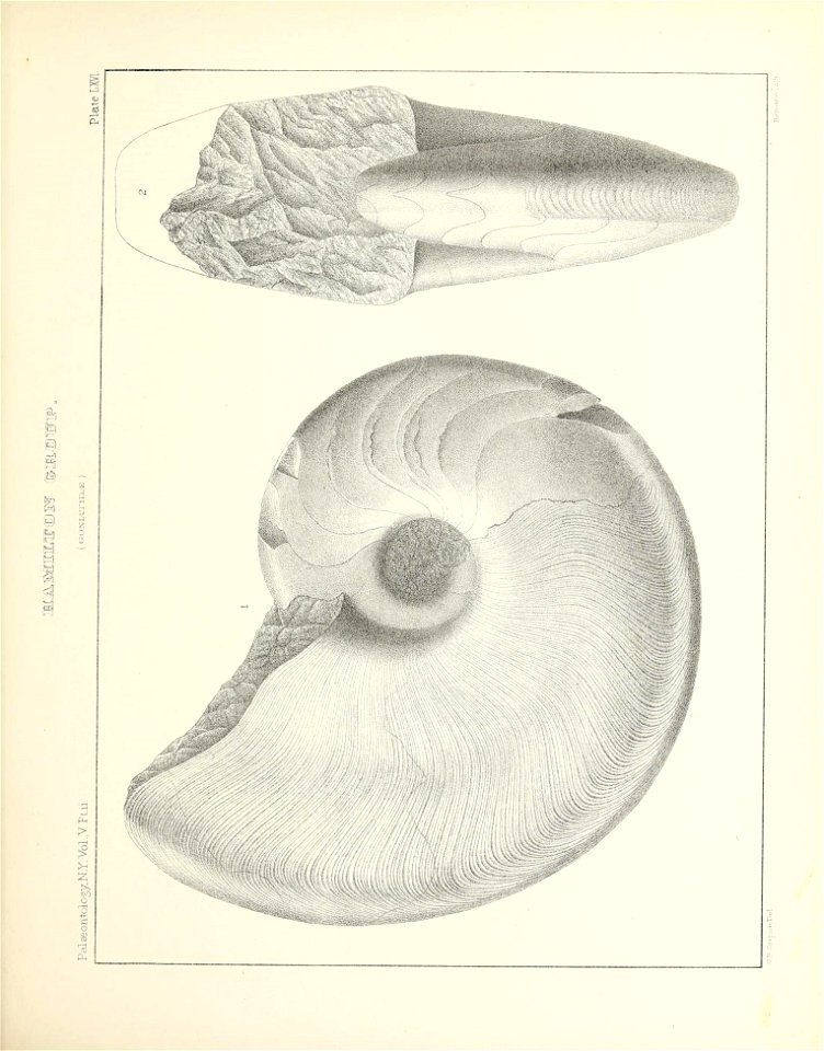 n312_w1150