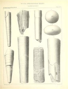 n182_w1150