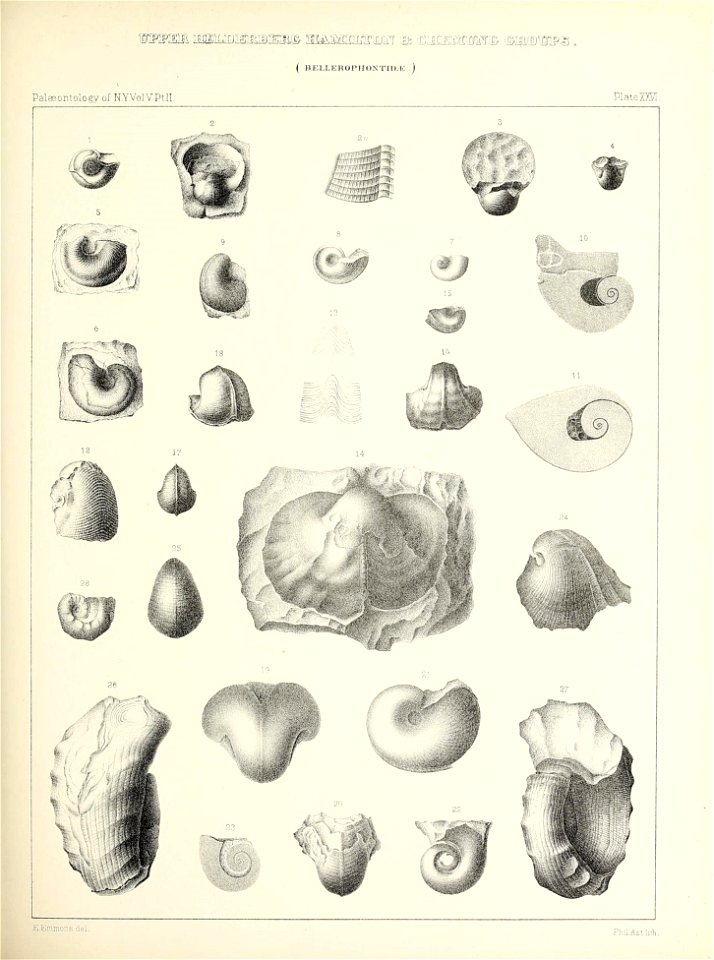 n114_w1150