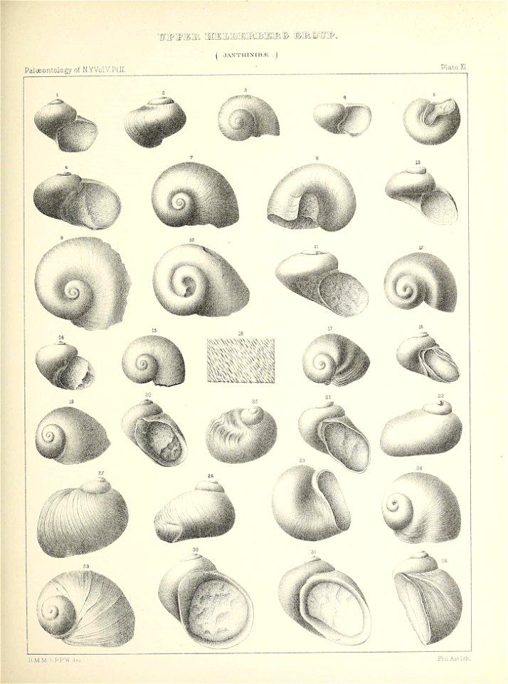 n54_w1150