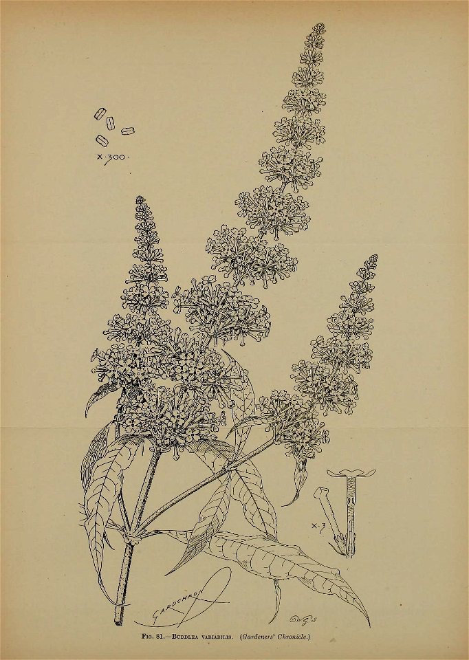 n570_w1150