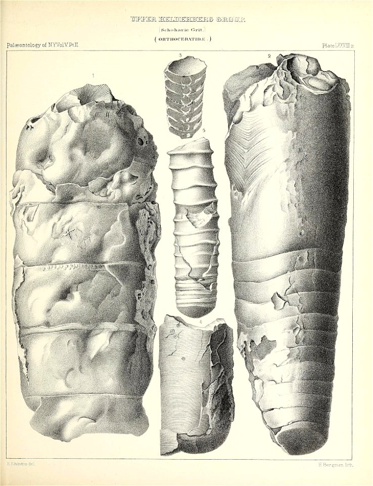 n372_w1150