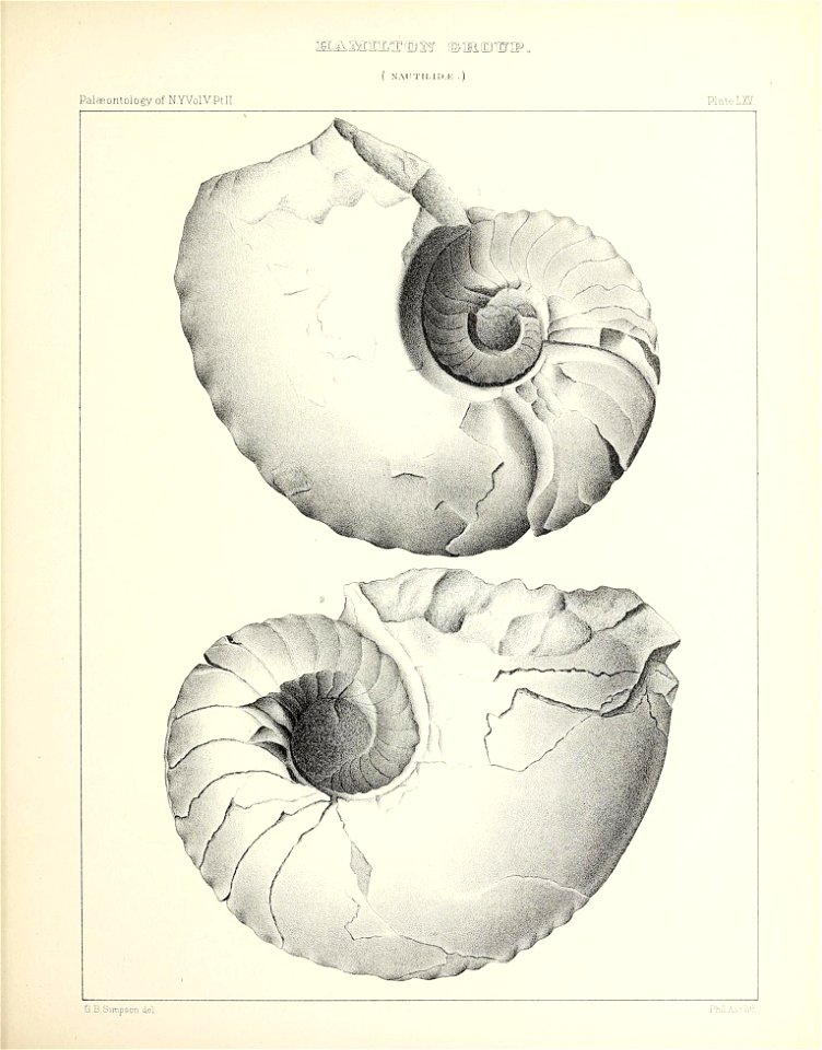 n308_w1150