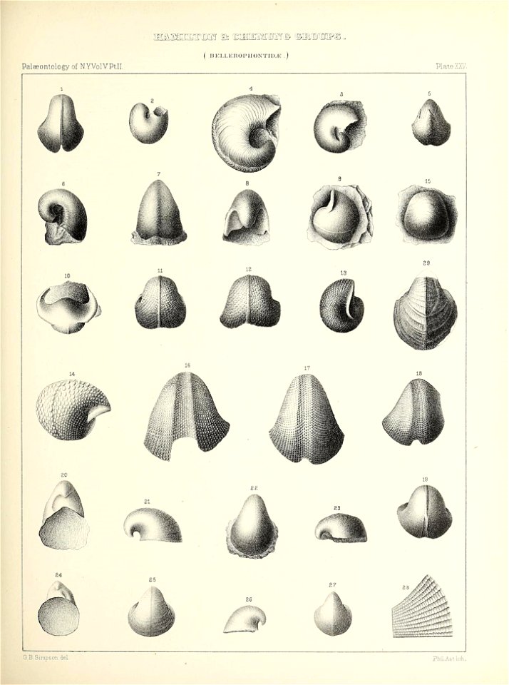 n110_w1150