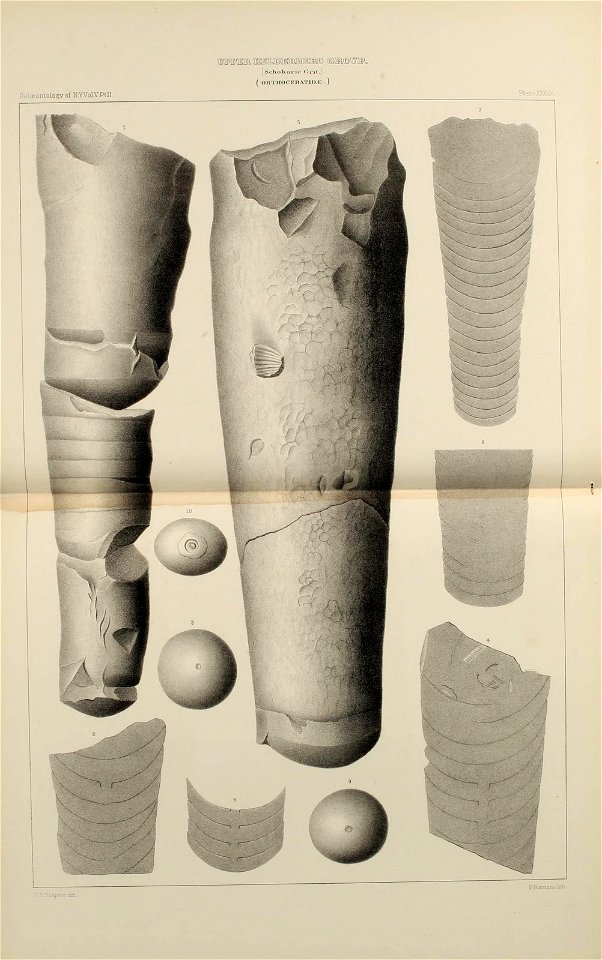 n174_w1150