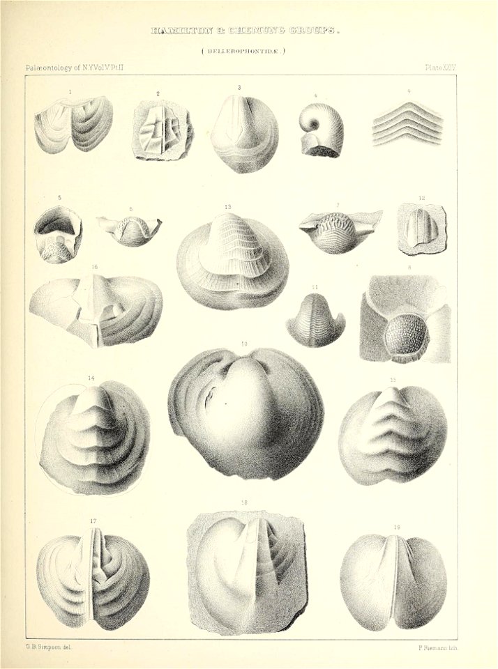 n106_w1150