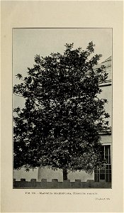 n328_w1150