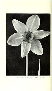 n891_w1150
