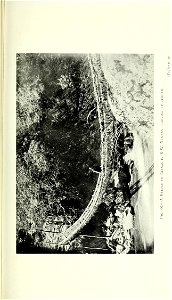 n306_w1150