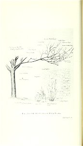 n69_w1150