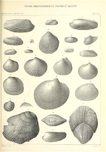 n564_w1150