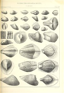 n502_w1150