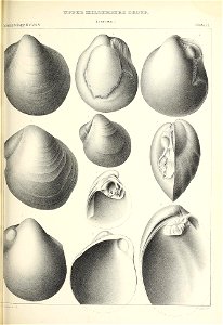 n442_w1150