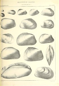 n382_w1150