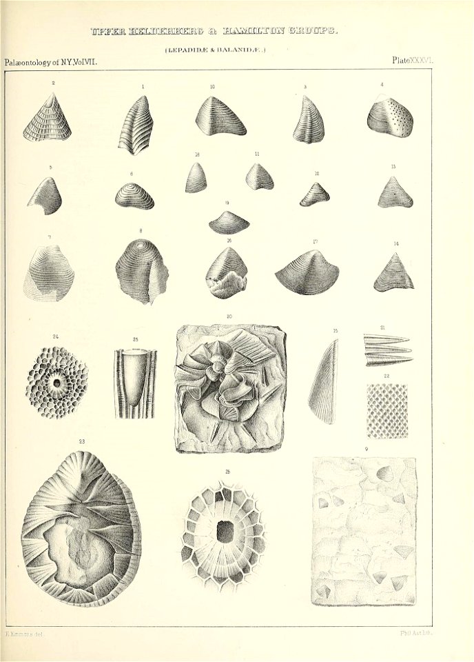n538_w1150
