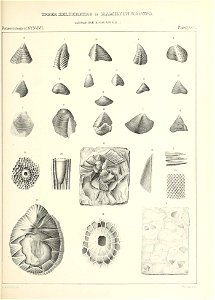 n538_w1150