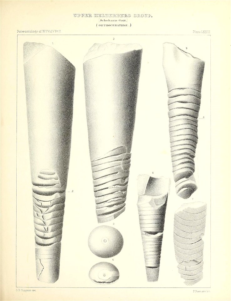 n364_w1150