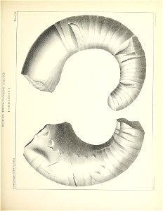 n234_w1150