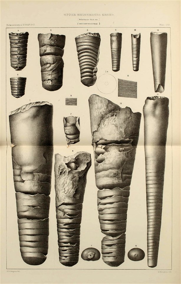 n166_w1150