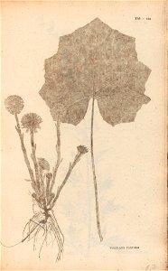 n118_w1150