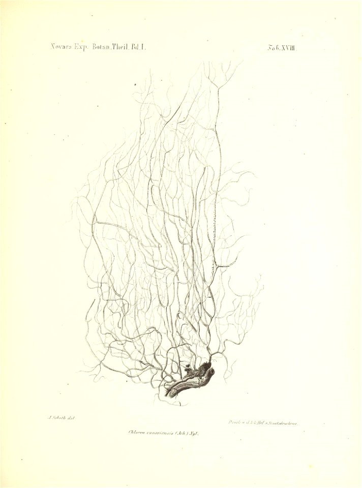 n178_w1150