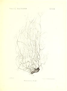 n178_w1150