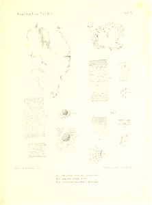 n134_w1150
