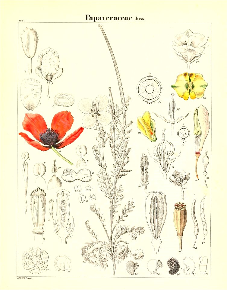n538_w1150
