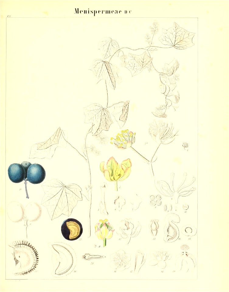 n508_w1150