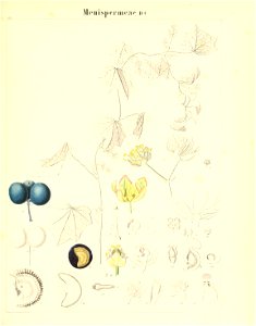 n508_w1150