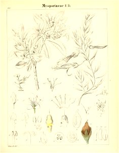 n382_w1150