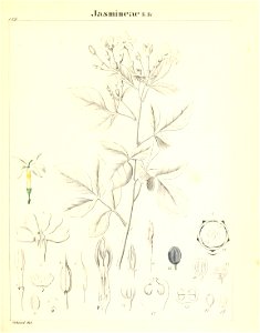 n352_w1150