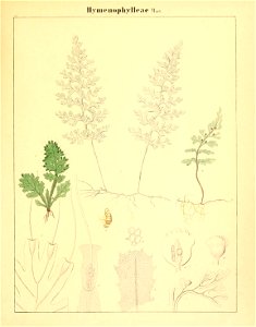 n46_w1150