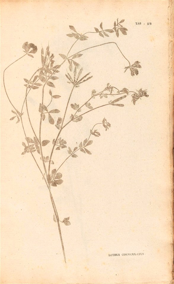 n366_w1150