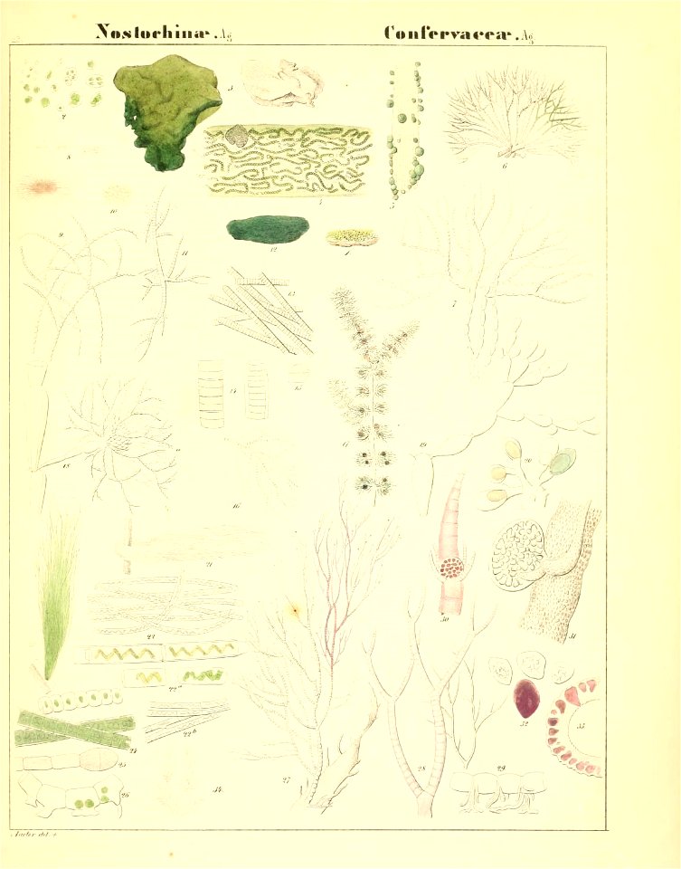 n12_w1150