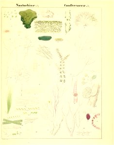 n12_w1150