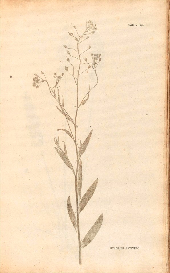 n304_w1150