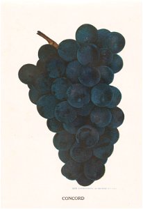 n178_w1150