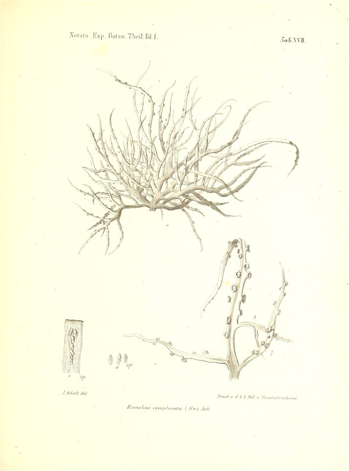 n176_w1150