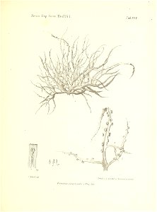 n176_w1150
