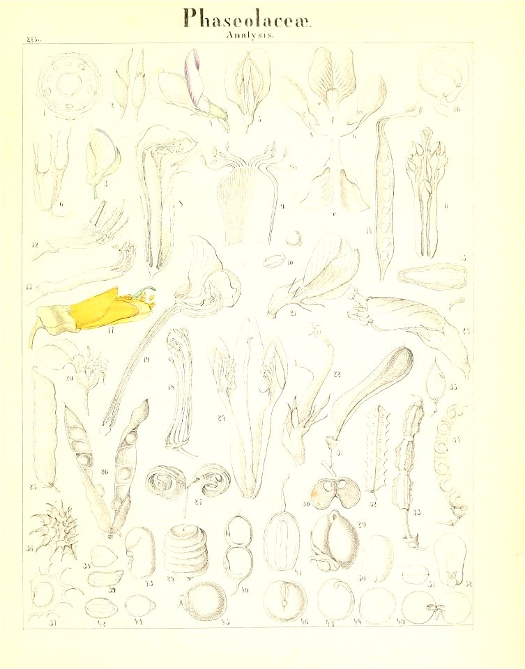 n812_w1150