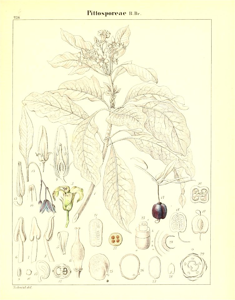 n692_w1150