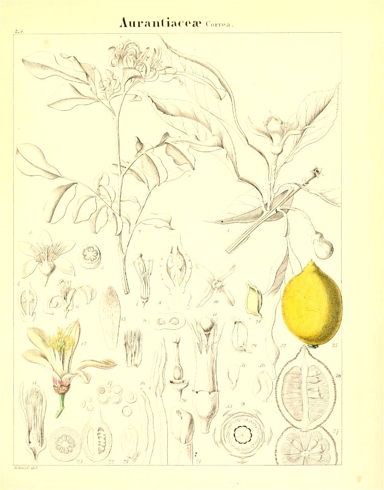 n658_w1150
