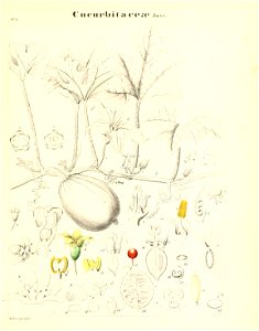 n594_w1150