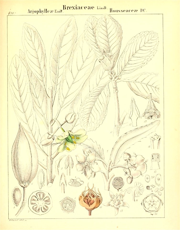 n504_w1150