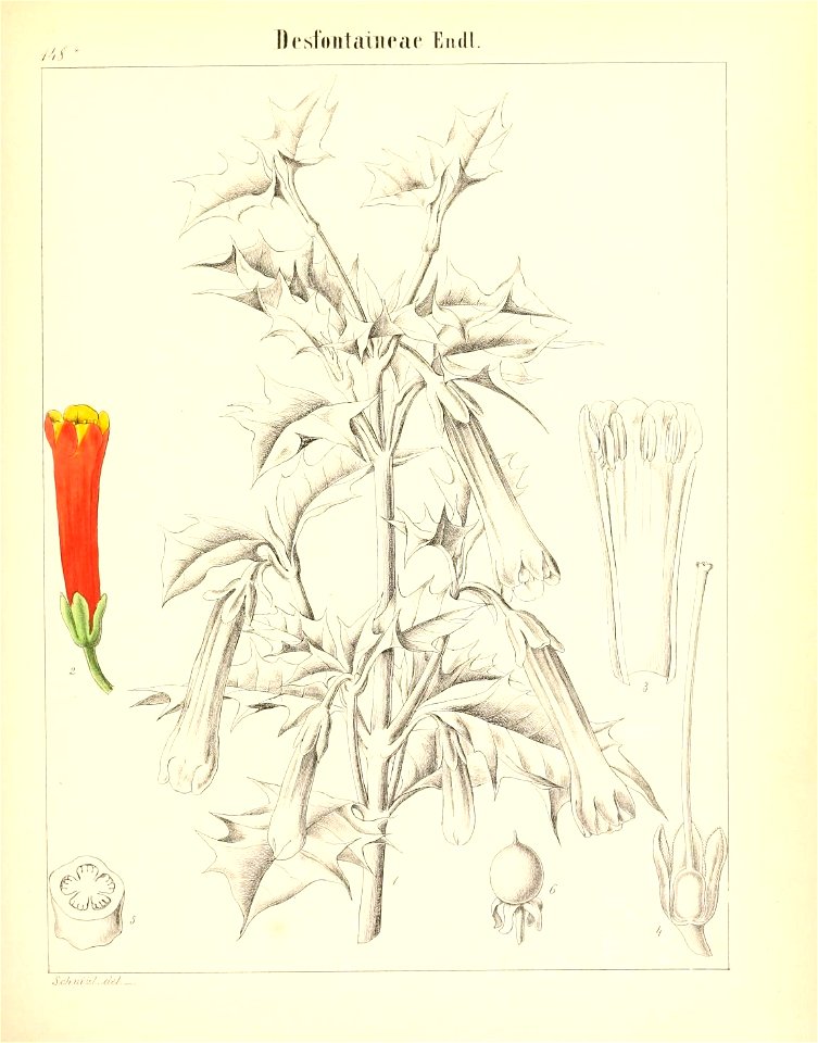 n408_w1150