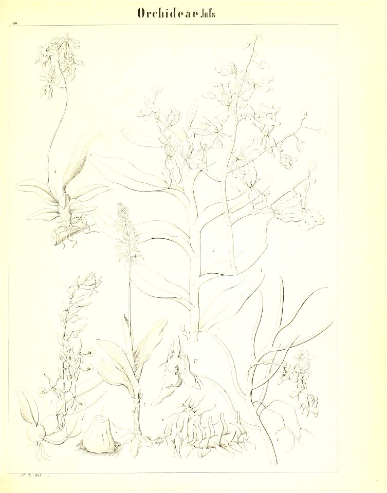 n160_w1150