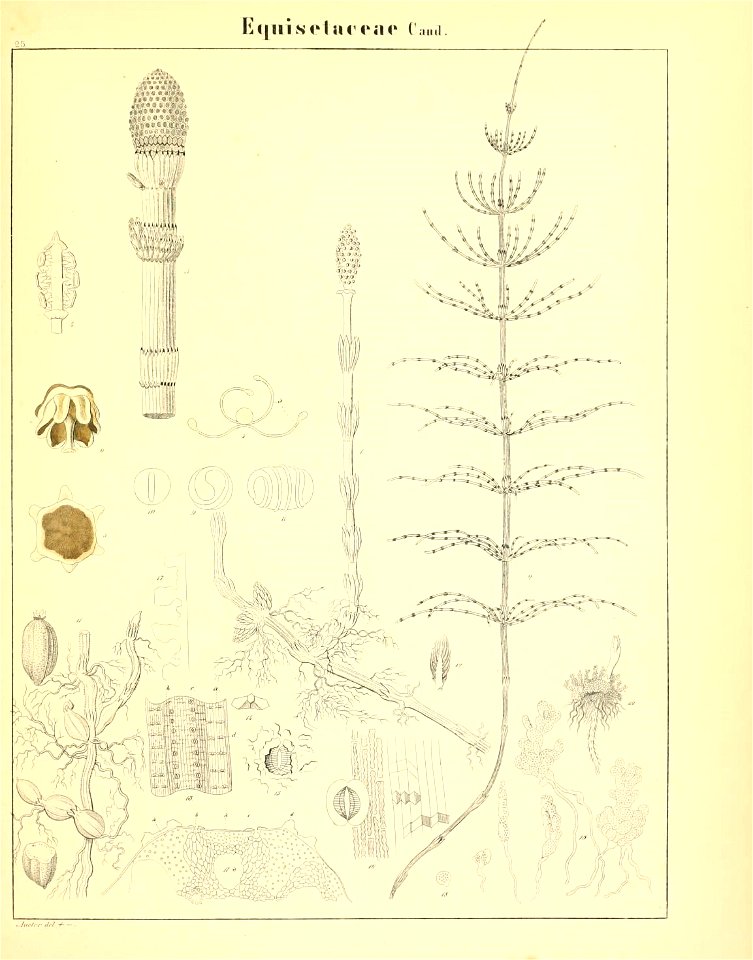 n40_w1150