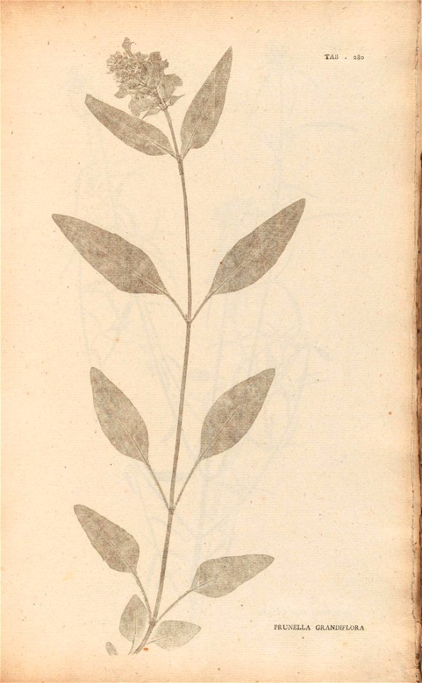 n170_w1150