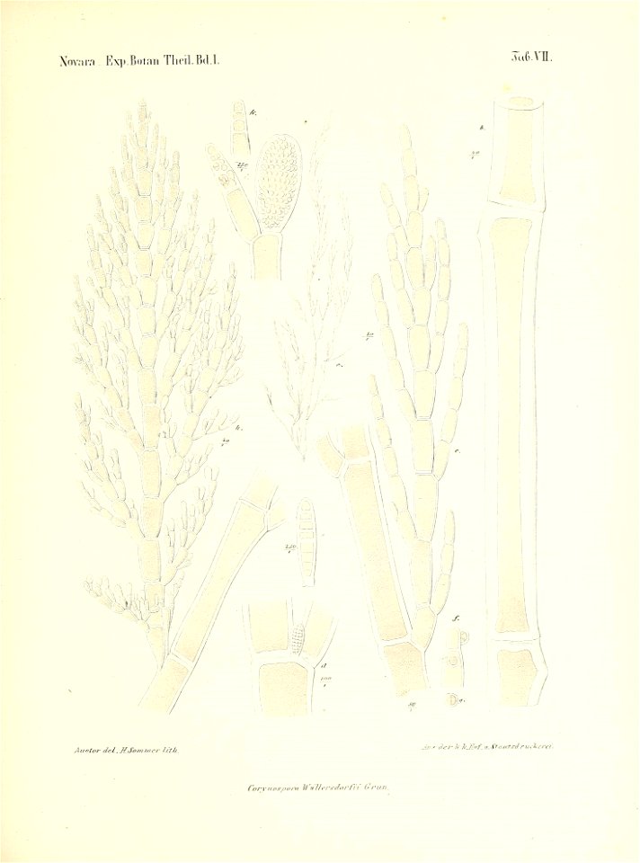 n130_w1150